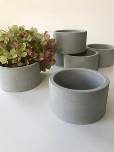 four cement planters sitting next to each other on a white counter top with a potted plant in the middle