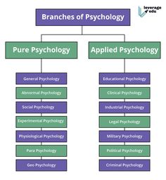 a diagram showing the branches of psychology