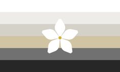 a white flower sitting on top of a black and beige striped wall