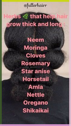 Herbs For Hair Growth, Herbs For Hair, Healthy Natural Hair Growth, Help Hair Grow, Natural Hair Growth Tips, Twisted Hair, Natural Hair Treatments, Hair Care Growth, Hair Growing Tips