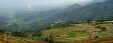 an aerial view of rice terraces in the mountains