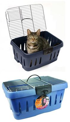 a cat sitting in a blue plastic basket next to an image of a bird cage