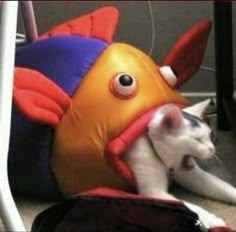 a cat laying on the ground next to an inflatable toy fish with its mouth open