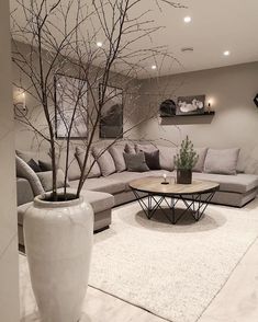 a living room filled with furniture and a tree in the middle of the room on top of a rug