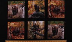 four pictures of bears in the woods with trees and rocks, one bear is standing on a log