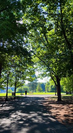 a person walking down a tree lined path in a park with lots of green trees