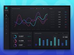 the dashboard is displaying graphs and data for each individual person's business needs to see