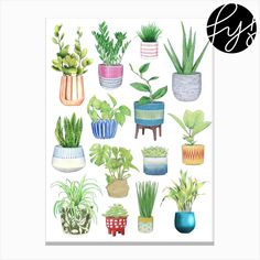 a painting of potted plants on a white background