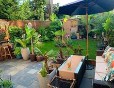 an outdoor patio with lots of plants and furniture