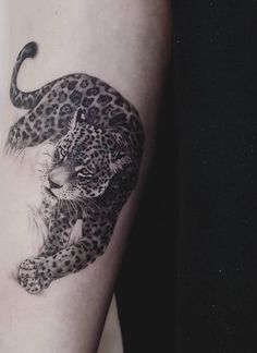 a black and white photo of a leopard on the arm with its tail curled up