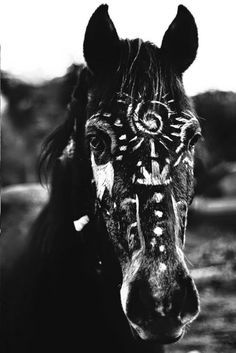 a black and white photo of a horse's face with intricate designs on it