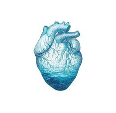 a drawing of a human heart in blue water