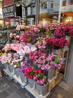 many different types of flowers are in buckets on display outside the flower shop window