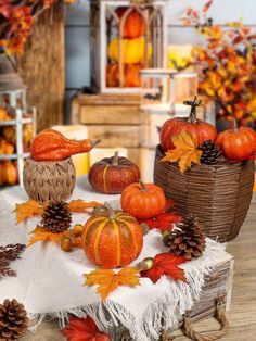 an arrangement of pumpkins, pine cones and other autumn decorations on a wooden table