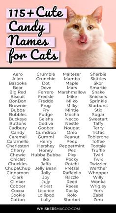 a white and orange cat with the words 13 + cute candy names for cats on it