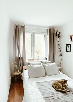 a cat laying on top of a bed in a room with white walls and wooden floors