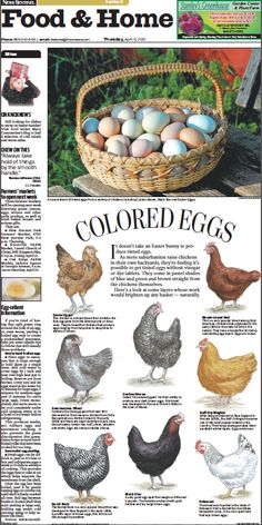 the front page of a magazine with pictures of chickens and eggs