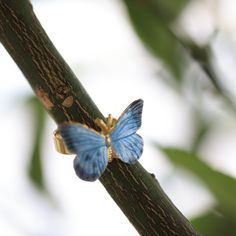 Embrace the beauty of transformation with our Butterfly Earrings. These stunning earrings capture the delicate grace of butterflies, symbolizing growth and new beginnings. Expertly crafted with intricate details, they add a whimsical touch to any outfit, making them perfect for both casual and special occasions. Let the Butterfly Earrings flutter into your jewelry collection and remind you of life's endless possibilities. Material Composition:  Base Metal: 925 Sterling Silver Finish: 18K Gold Pl Blue Nature-inspired Jewelry For Wedding, Nature-inspired Blue Jewelry For Wedding, Nature-inspired Blue Jewelry For Weddings, Delicate Butterfly Jewelry With Matching Earrings, Dainty Blue Butterfly Jewelry, Blue Butterfly Earrings As Gift, Elegant Blue Sterling Silver Butterfly Ring, Elegant Blue Butterfly Jewelry, Blue Butterfly Fine Jewelry