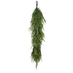 a long green plant hanging from a hook