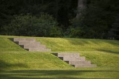 a man riding a skateboard down the side of a set of stairs on top of green grass