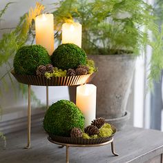 three tiered trays filled with moss covered balls and lit candles on top of a wooden table