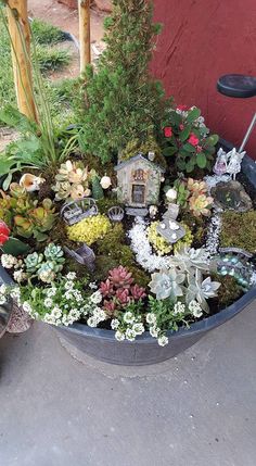 a potted planter filled with lots of succulents and other plants