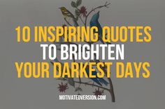 a bird sitting on top of a tree with the words 10 inspirational quotes to brighten your