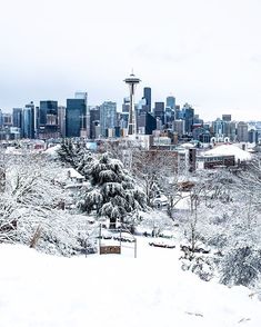 the city skyline is covered in snow and trees