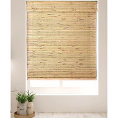 a window with a bamboo blind in the corner and a potted plant next to it