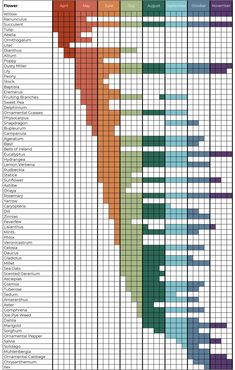 a chart showing the number and type of people in each country