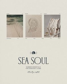 the cover of sea soul, featuring four images of seashells and shells in sand