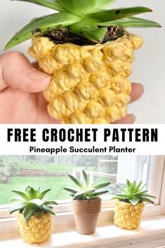 crochet pineapple succulent planter with text overlay reading free crochet pattern pineapple succulent planter