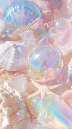 an array of soap bubbles and seashells