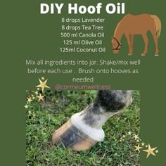 a poster with an image of a horse's foot and the words diy hoof oil