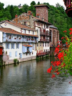 a river running through a city with tall buildings on both sides and red flowers in the foreground