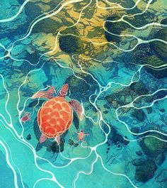 a painting of a turtle swimming in the ocean with rocks and algaes around it