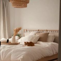 an orange cat laying on top of a white bed