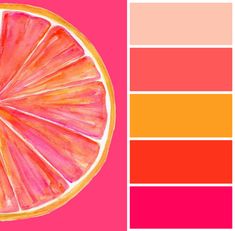 a grapefruit cut in half on a pink background with color swatches to the side