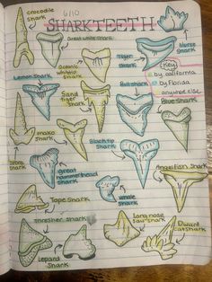 an open notebook with drawings of different types of teeth and mouth shapes on it's page