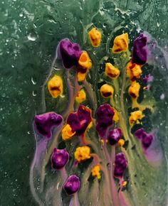 some yellow and purple flowers are in the water on a green surface with drops of water