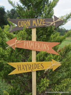 three wooden signs pointing in different directions on a pole with trees and bushes behind them