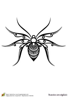 a black and white drawing of a spider with intricate designs on it's back