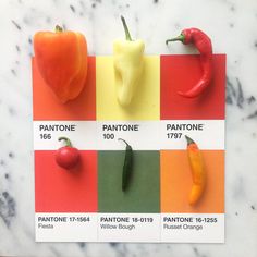 four different colored peppers sitting on top of a counter