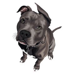 Dog Illustration | Pet Portrait | Vector Pets | Pet Designs | Gift Ideas Dog Vector Illustration, Vector Portraits, Staffy Dog, Design Gift Ideas, Pitbull Art, Pet Design, Cartoon Mascot, Custom Pet Art, Pet Pet