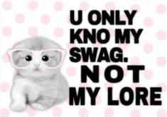 a cat wearing glasses with the words u only know my swag not my lore