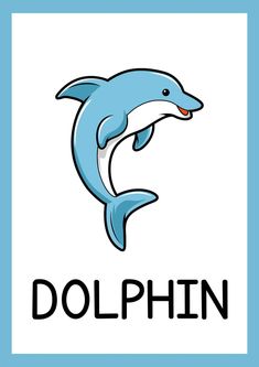 a dolphin jumping out of the water, with the word dolphin in it's mouth