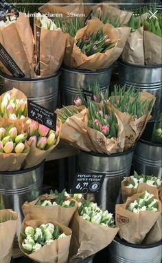 several buckets filled with flowers on display for sale