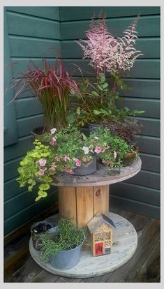 several potted plants sitting on top of a wooden table next to a birdhouse