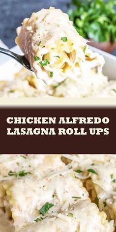 chicken alfredo lasagna roll ups on a white plate with a spoon in it