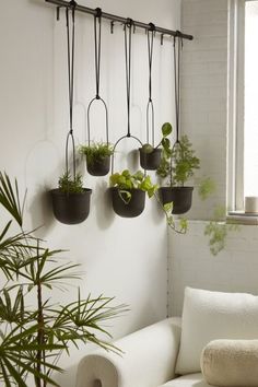 a living room filled with furniture and potted plants on the wall next to a window